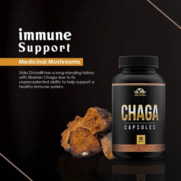 Chaga - Image 5