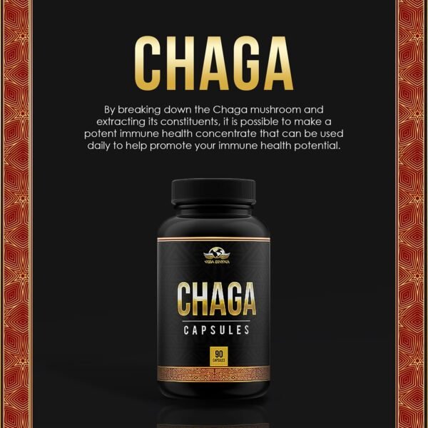 Chaga - Image 8