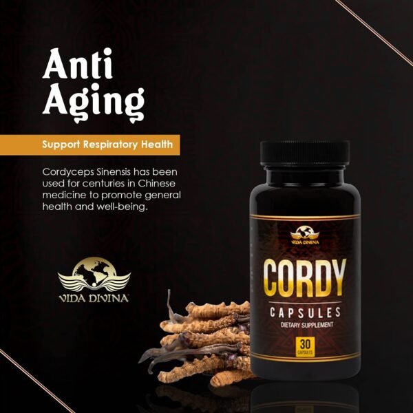 Cordy - Image 4