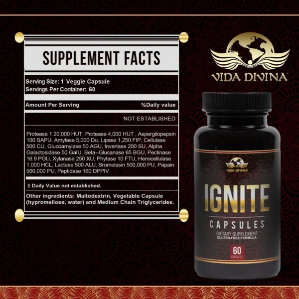 Ignite - Image 3