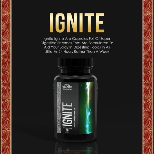 Ignite - Image 4