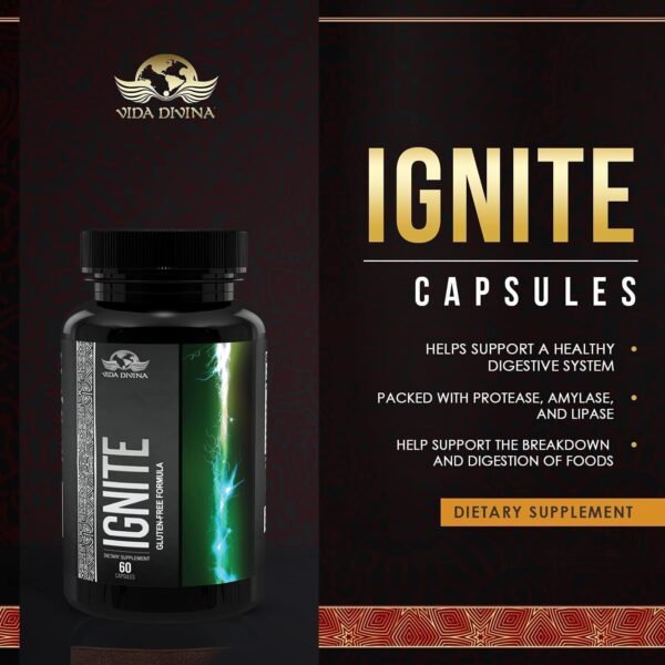 Ignite - Image 5